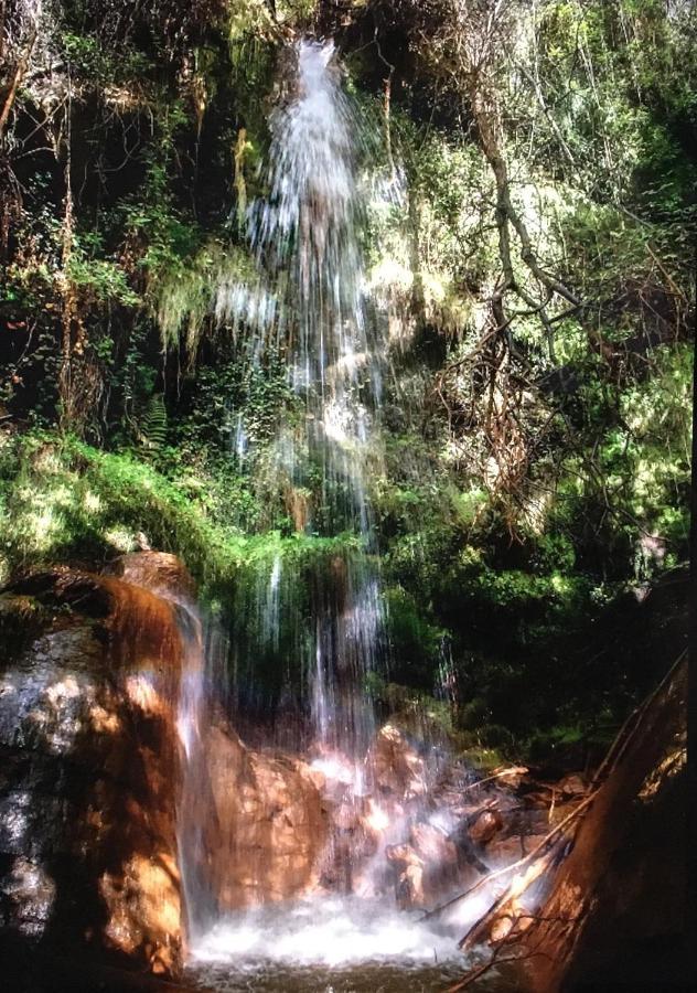 Apartamento El Refugio De Mecina Mecina Fondales ภายนอก รูปภาพ