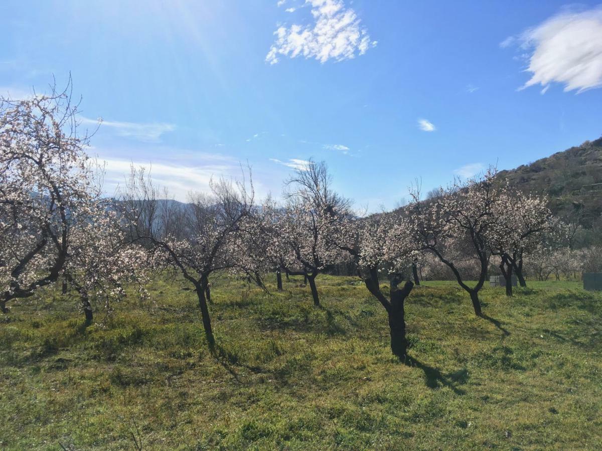 Apartamento El Refugio De Mecina Mecina Fondales ภายนอก รูปภาพ