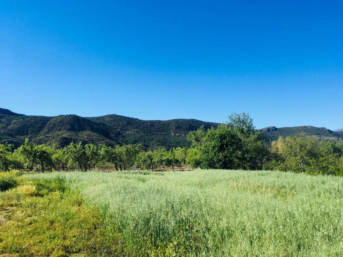 Apartamento El Refugio De Mecina Mecina Fondales ภายนอก รูปภาพ